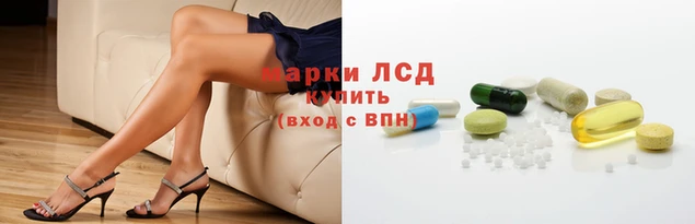 стаф Заволжье