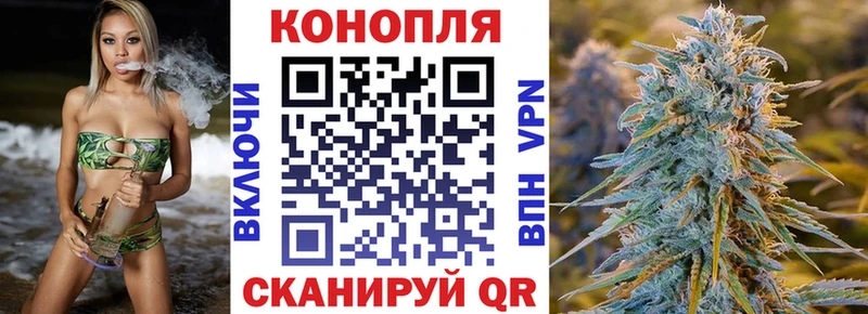 Купить закладки  Зерноград  Канабис White Widow 